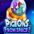 Pigeons from Space game icon